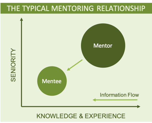 A diagram showing a senior person mentoring a less senior person in work