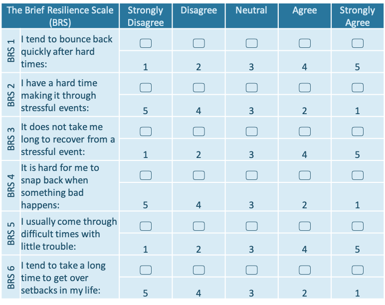 The six questions of the brief resilience scale shown as a diagram